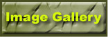 Image Gallery